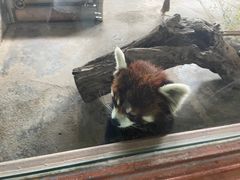 -济南野生动物世界