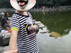 -莲湖公园