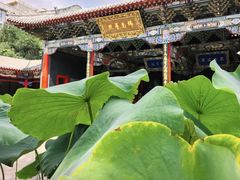 -长安寺