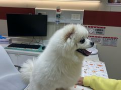 -御宝贝24h宠物医院·转诊中心·CT核磁血透中心(厦门总院)