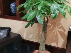 -大蓉和(双楠店)