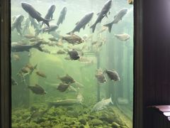 -杭州湾海上花田景区