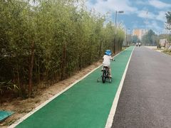 -回龙观体育文化公园