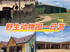 -鄂尔多斯野生动物园