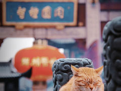 -龙华寺
