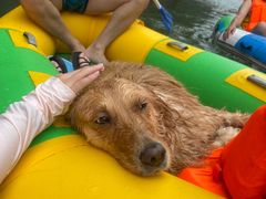 -安吉龙王山峡谷漂流