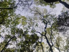 -杭州黄龙洞