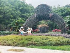-王借岗森林公园