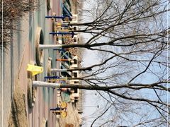 -大兴滨河森林公园