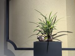 -中国昆曲博物馆