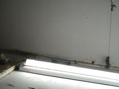 -哈尔滨北方森林动物园