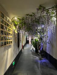 -盘子女人坊生日照·摄影馆(华强店)