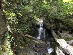 -藏龙百瀑风景区