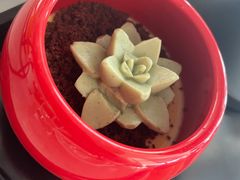 -三迪希尔顿酒店·星空酒廊