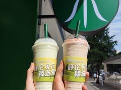 -茉酸奶(春熙路店)