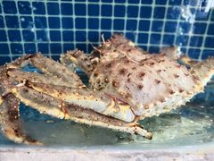 -骏莱海鲜鱼港(五角场店)