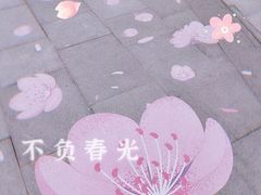 -金茂览秀城