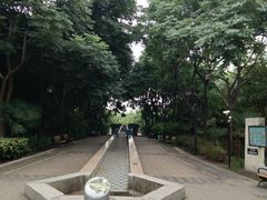 -苏州河梦清园环保主题公园