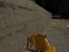 -迎泽公园