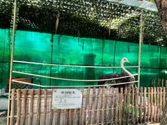 -史努比缤纷世界