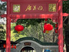 -侨美·唐荔园·40年地道粤菜