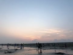 -南汇嘴观海公园