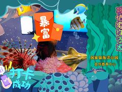 -烟台海昌鲸鲨海洋公园