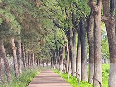 -汉长安城未央宫国家考古遗址公园