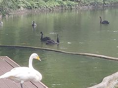 -海南热带野生动植物园