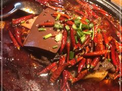 -探鱼·鲜青椒爽麻烤鱼(广州花都来又来店)