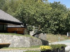-南京市无想山景区