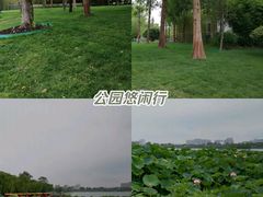 -济南大明湖景区