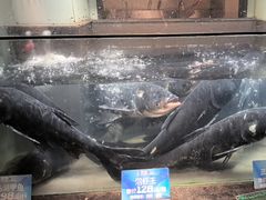 -上名堂·鱼头好吃(体育场路店)