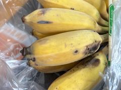 -光明刘冰乳鸽店(光明法政北路店)