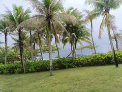 -海南槟榔谷黎苗文化旅游区