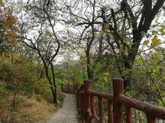 -北京凤凰岭