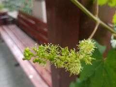-青岛葡萄酒博物馆