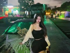 -巨鹏飞梦幻海岸