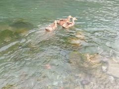-中铁花水湾四季温泉谷
