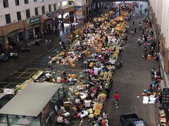 -三亚新鸿港水果一级批发市场