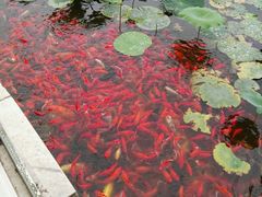 -西海子公园