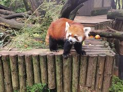 -云南野生动物园