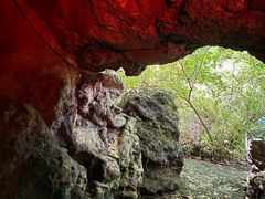 -海口火山口国家地质公园