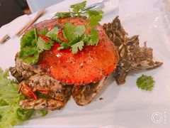 -新加坡海鲜共和(名胜世界圣淘沙海滨坊)