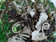 -熊氏牛羊杂粉(龙眼井总店)