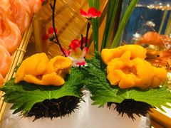 活马粪海胆-鲔屋寿喜烧