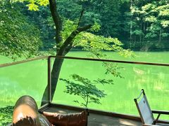 -龙道沟景区