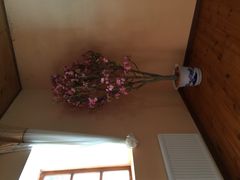 iphone_upload_pic-金山农民画村-枫泾波兰倒置屋