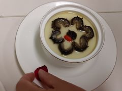 -天鹅到家·保姆月嫂育儿嫂(总店)