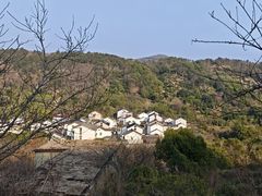 -香雪海